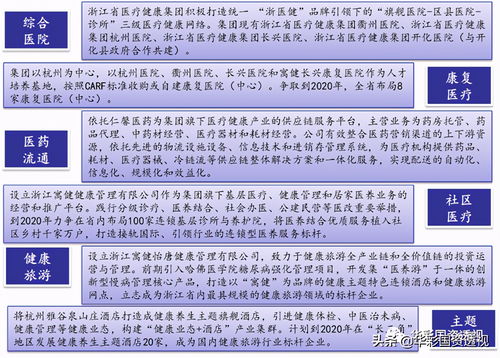 集团管控文章 国资国企改革解读 国有资本地方投融资平台改造之路 管理咨询 引领集团类咨询服务 集团管控 集团战略 华彩管理咨询官方网站