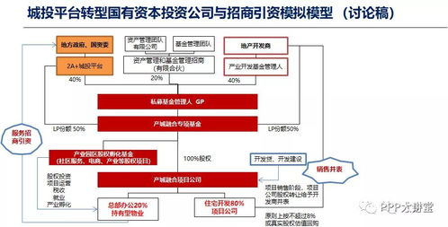 地方政府投融资平台转型与债务化解 新基建 管资本 产业引导