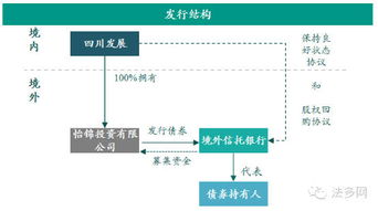 地方政府融资平台公司和房地产公司发行美元债券详细操作流程