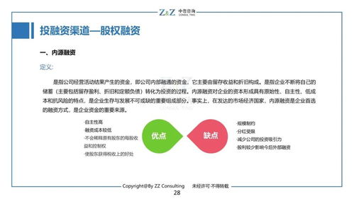 干货 四个方面 三大案例带你了解投融资渠道及平台 中哲研究