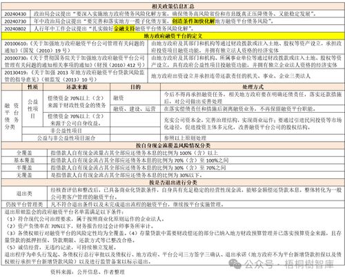 地方融资平台手册 2024年版