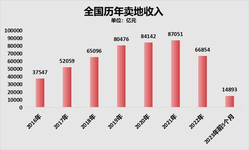乐山大佛 拍卖背后,地方债问题凸显