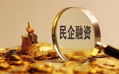 没有抵押担保民营企业也好,关键是要有这个平台