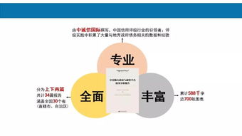 新书推介 中国地方政府与融资平台债务分析报告